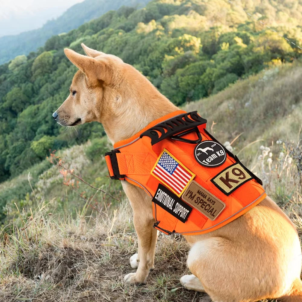 Tactical Orange Pet Vest for Large Dogs Anti-Pull Dog Harness Adjustable Military Harness Convenient for Walking and Training