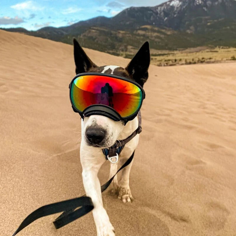 Dog Goggles Sunglasses Anti-Uv Sun Glasses Eyewear Protection Adjustable Windproof Sunglasses Pet Dog Supplies for Travel